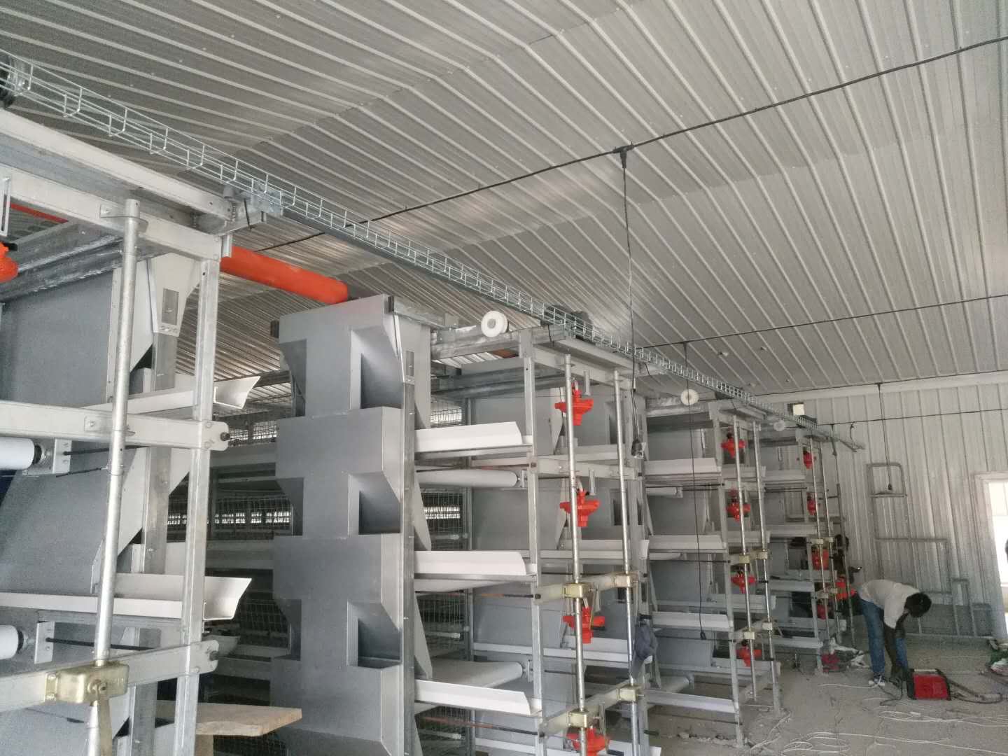 Hi-Q Poultry Equipmen Dicker Broiler Cage 